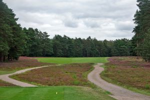 Berkshire (Red) 17th